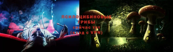 дурь Беломорск