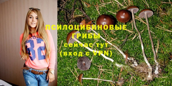 меф Белоозёрский