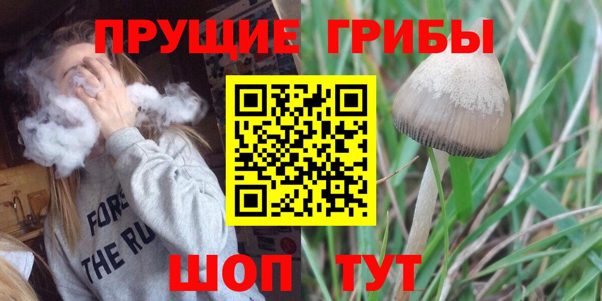 Галлюциногенные грибы MAGIC MUSHROOMS Верхний Уфалей