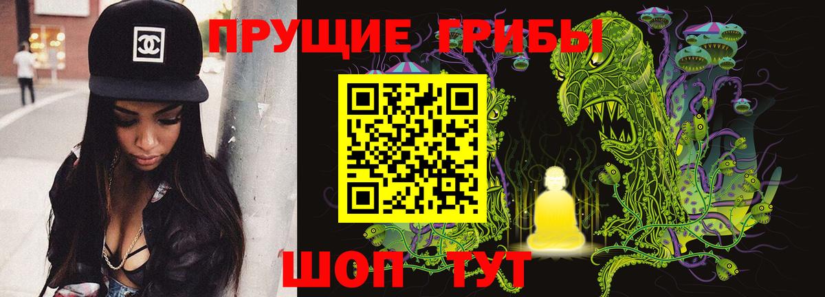 Псилоцибиновые грибы прущие грибы  Вход с VPN  Верхний Уфалей 